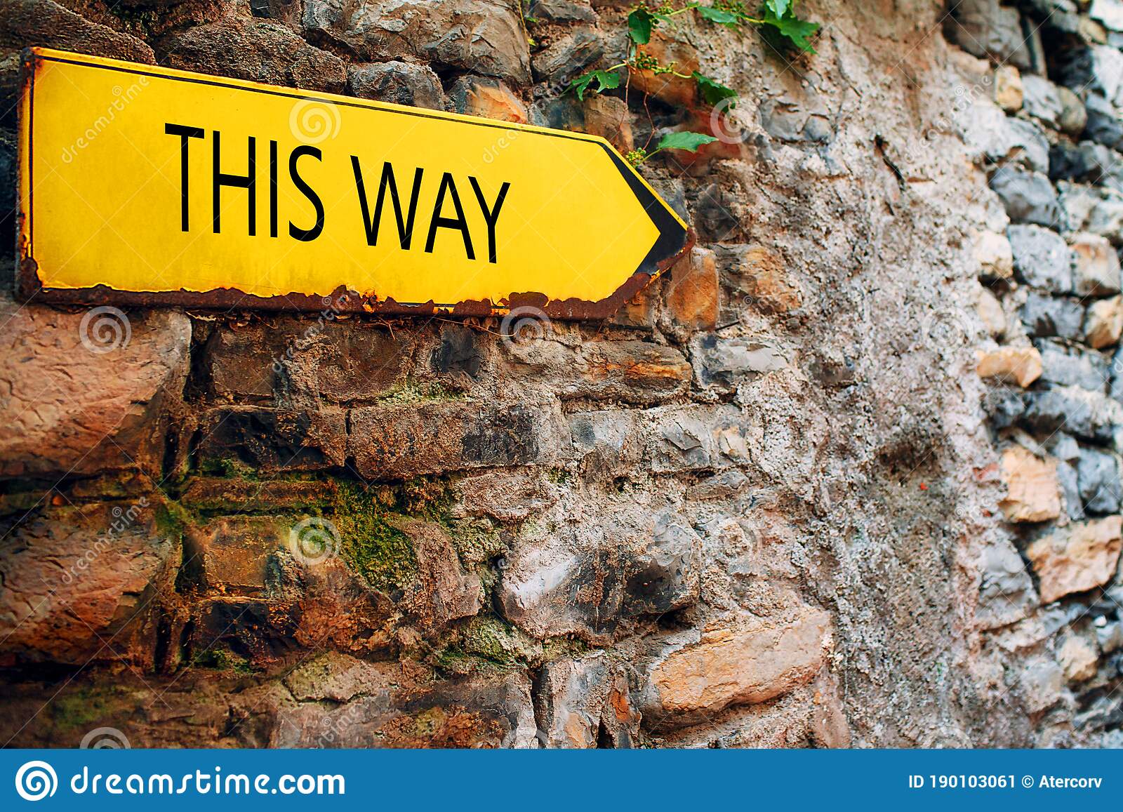 This Way
